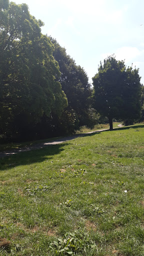 The white path - Visual