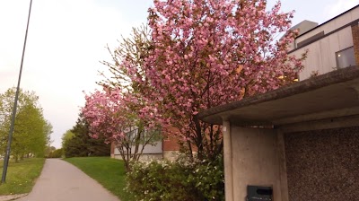 Photos of Hafslund skole
