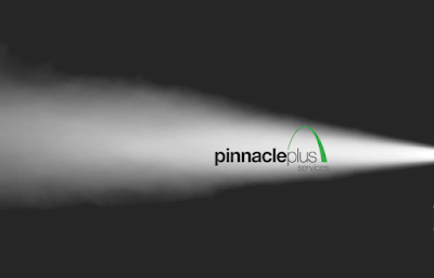 Pinnacle Plus Services