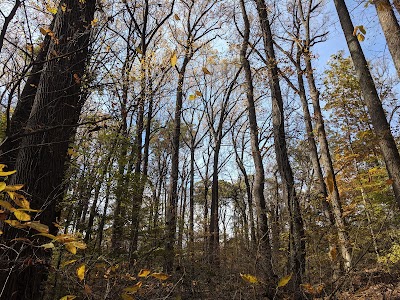 Belt Woods Natural Environment Area