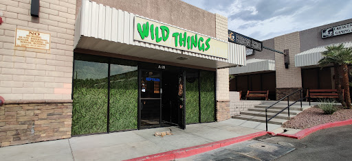 Wild Things - Visual