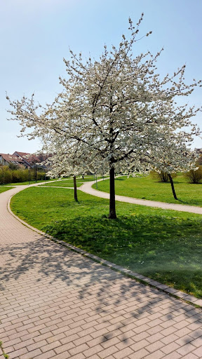 Central Park Heuchelhof - Thumbnail