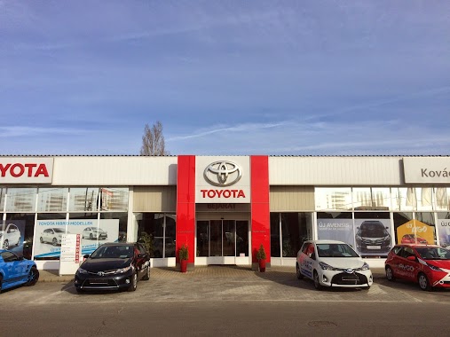 Toyota Kovacs, Author: Toyota Kovács