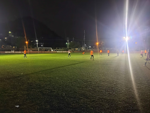 Deportivo field Coloso