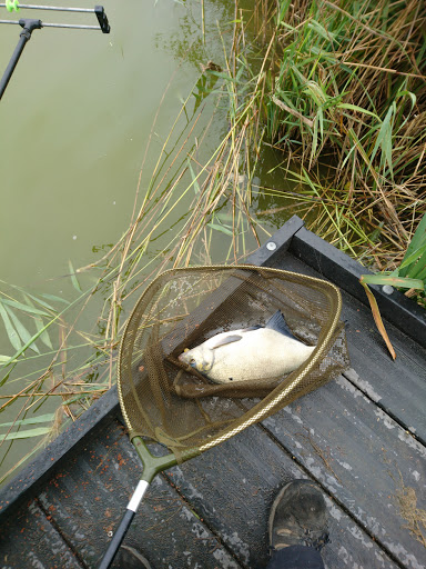 AJB Angling - Visual