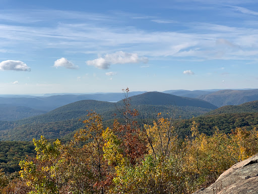 Mount Beacon Fire Tower Logo