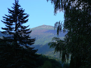 Photo n°58 de Camping La Mine d'Argent Moosch à Moosch (Terrain de camping)