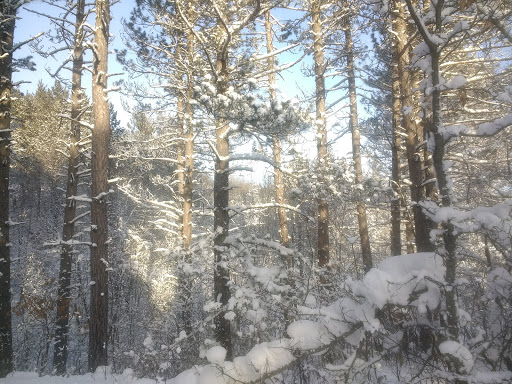 Teuton Trail System - Thumbnail