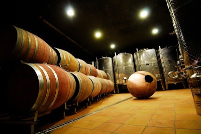 Photos of Weingut OBRECHT Francisca & Christian Obrecht