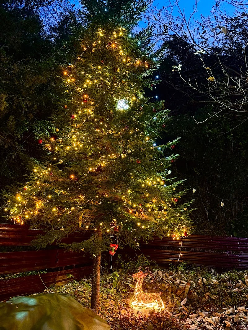 Barong Field TOMIYA (ドッグラン)