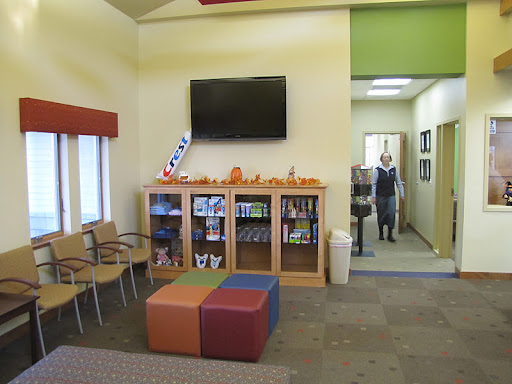Just Kids Dental SC Gallery - United States