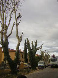 Photo n°17 de SERPE - Agence de Carcassonne à Carcassonne (Paysagiste)