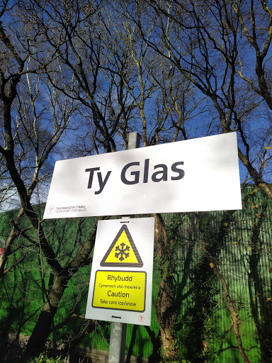 Ty Glas - Visual