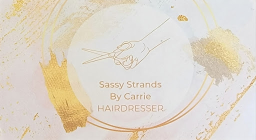 Sassy Strands By Carrie