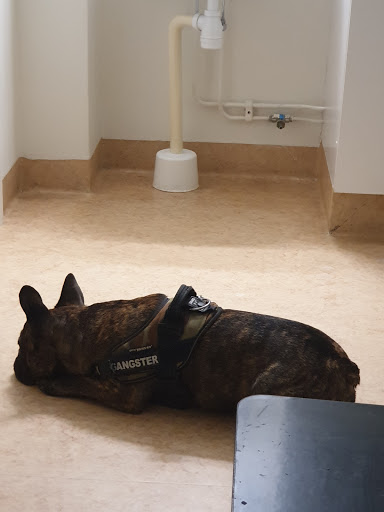 District Veterinarians Mora Gallery - Sweden