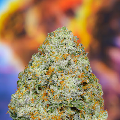 Photo of Velvet Cannabis Weed Dispensary Eagle Rock