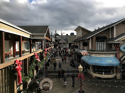 Pier 39 Sea Lions