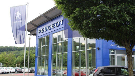 Auto Bebion - Thumbnail