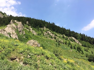 Photos of Trilyeda Touristic