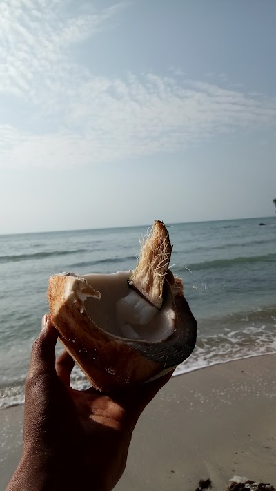 Photos of Pulau Lalang
