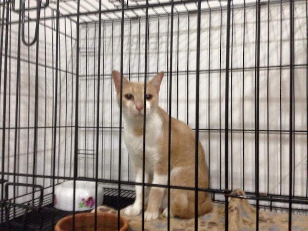 J Jay Pet Station 60 3 6157 6272 10 1 Jalan Pju 5 15 Dataran Sunway Kota Damansara Dataran Sunway Petaling Jaya Selangor Malaysia