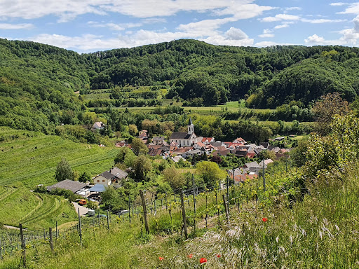 Kräuterpfad