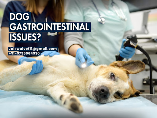 Dog Gastrointestinal Issues?   post image