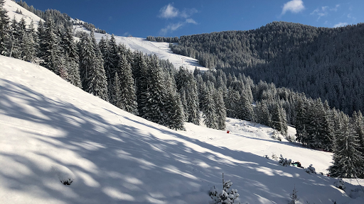 Photo de Chalet le Carlina - Déclic's Loisirs Aventure