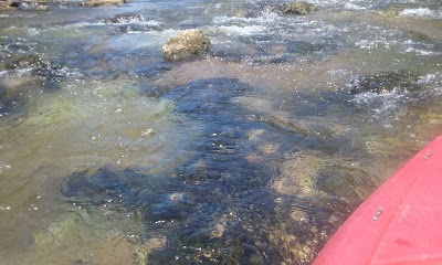 Photos of Look and Tremble Rapids