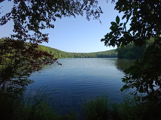 Pond Mountain Natural Area - Thumbnail