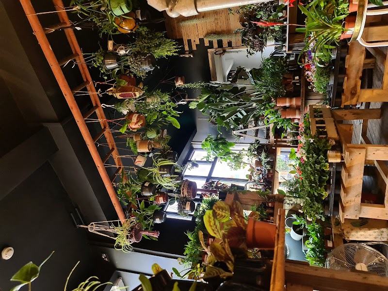Leslie Terrance Plant Shop photo 2