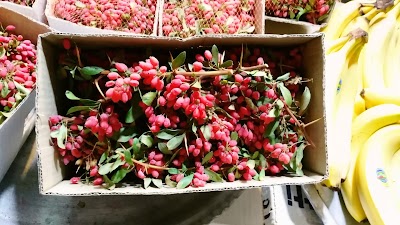 Photos of رستوران حاج نعمت
