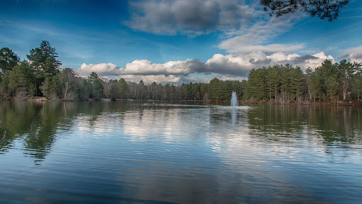Accrobranche Center Parcs Les Hauts de Bruyères - Thumbnail