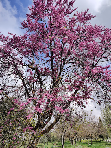 El Paso Park - Thumbnail