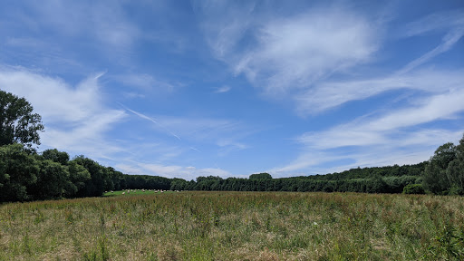 Wanderparkplatz Vossholz - Thumbnail