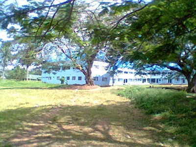 Photos of Government College Umuahia