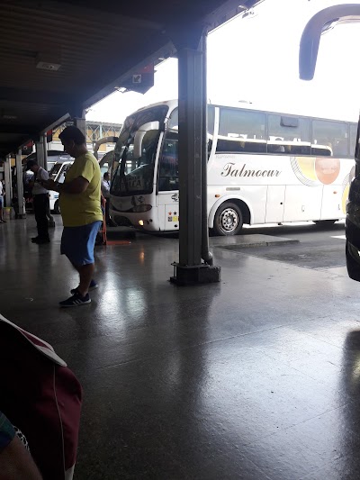 Photos of Terminal Curico