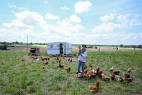 La Ferme des Folies Champêtres à Noyant-Villages