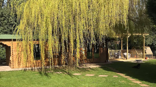 Bramble Cottage Holistic Therapies