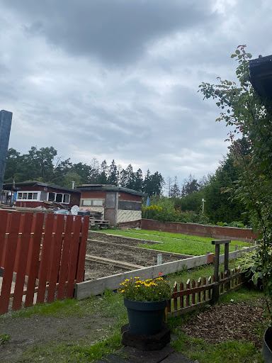 Lilla Rinkeby fritidsträdgårdar - Thumbnail