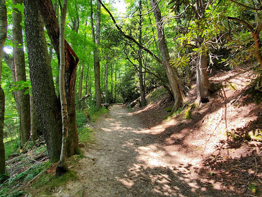 Crab Orchard Falls - Thumbnail