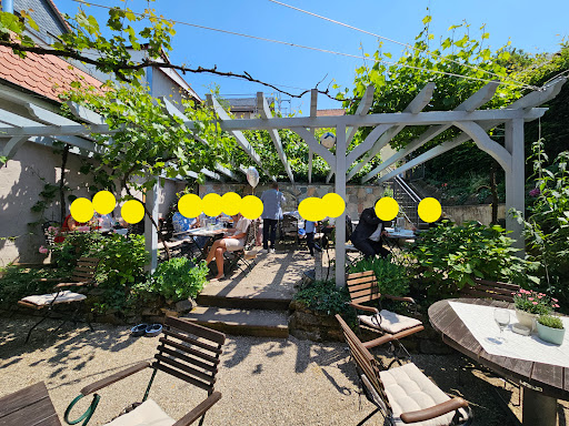 Weingarten zur Reblaus - Thumbnail