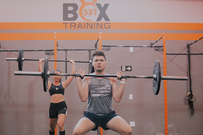 Box 537 Training