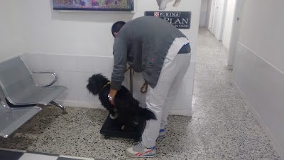 Photos of Veterinaria Animalveter