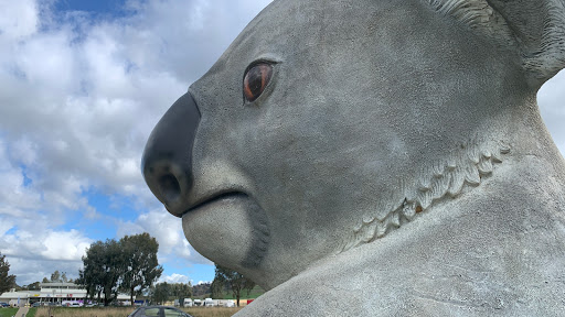 The Big Koala - Thumbnail