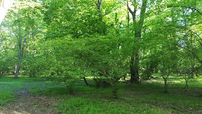 Photos of Кафе Delfin