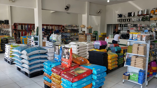 Avaliações sobre AGRONIL - PRODUTOS AGROPECUÁRIOS em Boa Vista - Mercado
