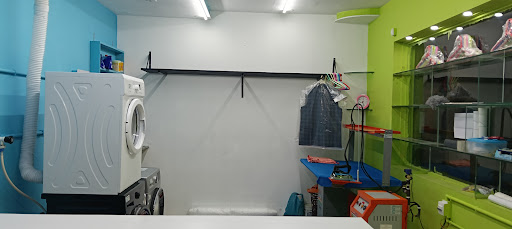 Gallery image 10