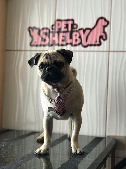 Pet Shelby - Clinica Veterinária e Centro de Estética Animal