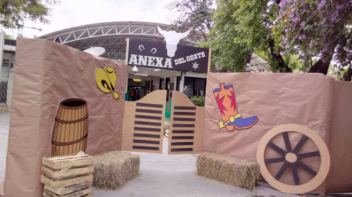 Escuela Primaria Profesor Oziel Hinojosa García Anexa a La Normal - Thumbnail